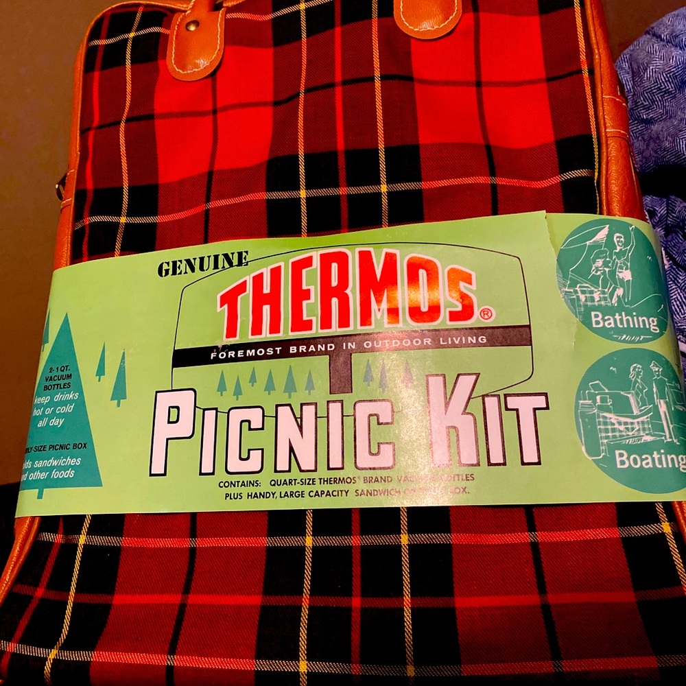 1950s picnic  all new